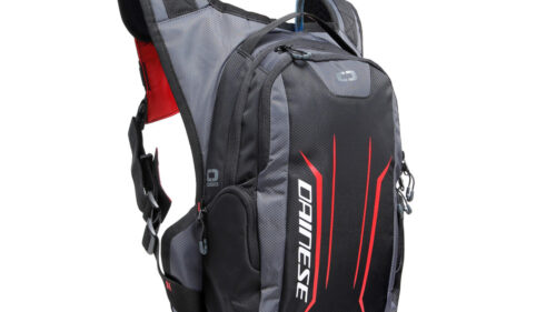 ALLIGATOR BACKPACK DAINESE